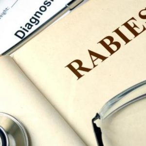 Cegah Rabies, Masyarakat Dilarang Keras Menyebarkan Anjing Antar Daerah