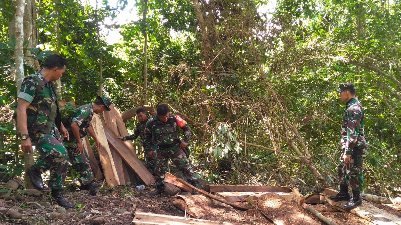 Ratusan Balok Kayu yang Diduga Hasil Illegal Logging Ditemukan di Bima