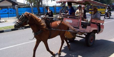 Kotoran Kuda Masih Jadi Persoalan di Jalan Kota Mataram